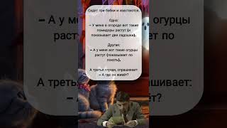 #юмор #анекдоты #приколывидео