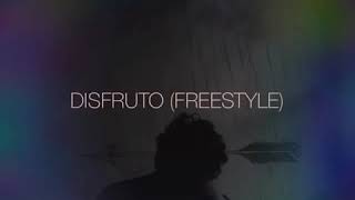 Disfruto Freestyle (Cover Audio)