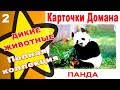 Карточки Домана Дикие животные часть 2