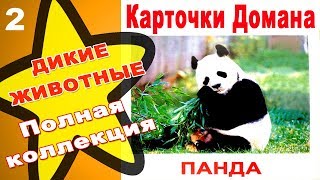 Карточки Домана Дикие животные часть 2