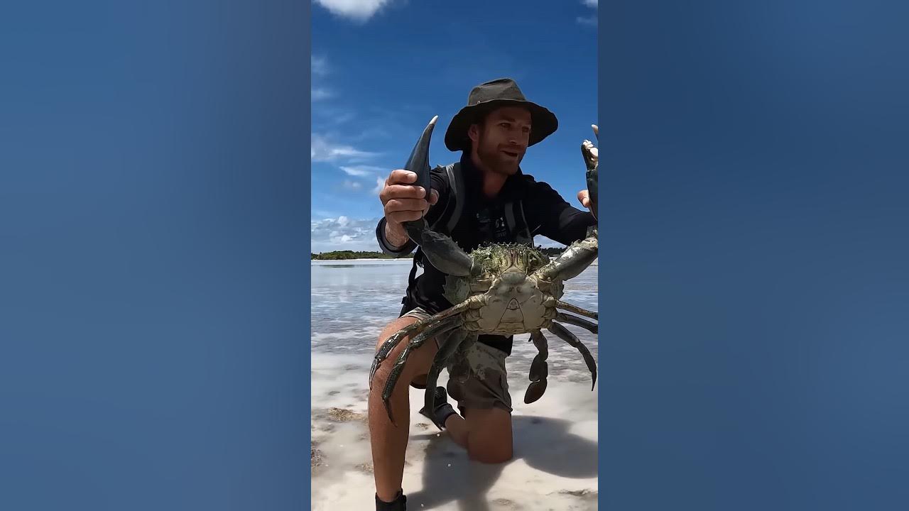 Crazy facts about crabs in Hindi crabs shorts YouTube