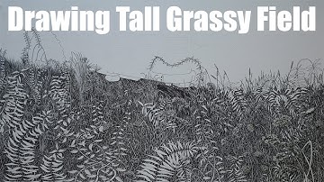 How to Draw Realistic Tall Grass. Drawing A Field
