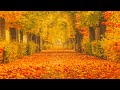 Beautiful Relaxing Music, Peaceful Soothing Instrumental Music , &quot;A Trail Into Autumn&quot; Healing Soul