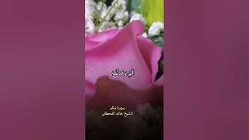 أجمل تلاوات الشيخ خالد القحطاني {استمتع وأرح قلبك}