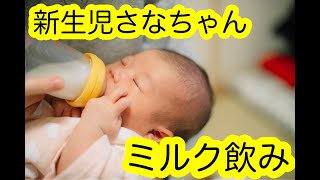 新生児さなちゃんのミルク飲みとゲップだし