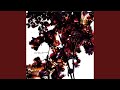 violent parade