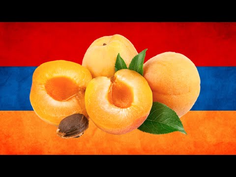 Абрикос-символ Армении
