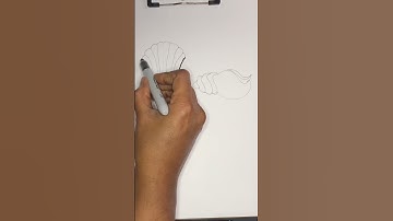Seashell 🐚 Easy Drawing #seashelldrawing #drawing #seashell #seashells
