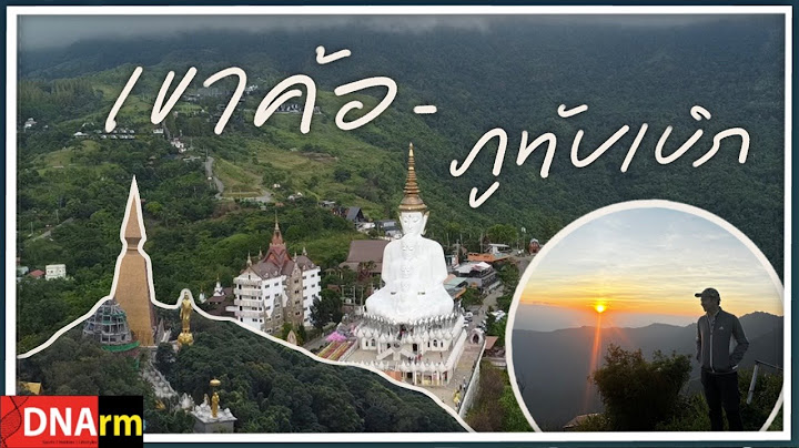 ภูทับเบิก เขาค้อ เพชรบูรณ์ เที่ยวครบจุดเช็คอินที่พักวิวทะเลหมอก Phu Thap Buek to Khao Kho [DNArm]