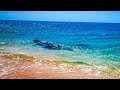 Дельфин приплыл к Людям на Кояшском Озере! Чудо Света в Крыму!