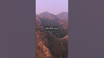 🎧 تلاوة خاشعة من سورة نوح | شايع التميمي | Surah Nuh by Shayee Al-Tamimi 🌟