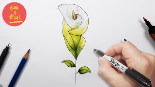 كيف ترسم زهرة بالرصاص والألوان | تعليم الرسم  للمبتديين