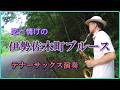 「伊勢佐木町ブルース」テナーサックス演奏 #青江三奈