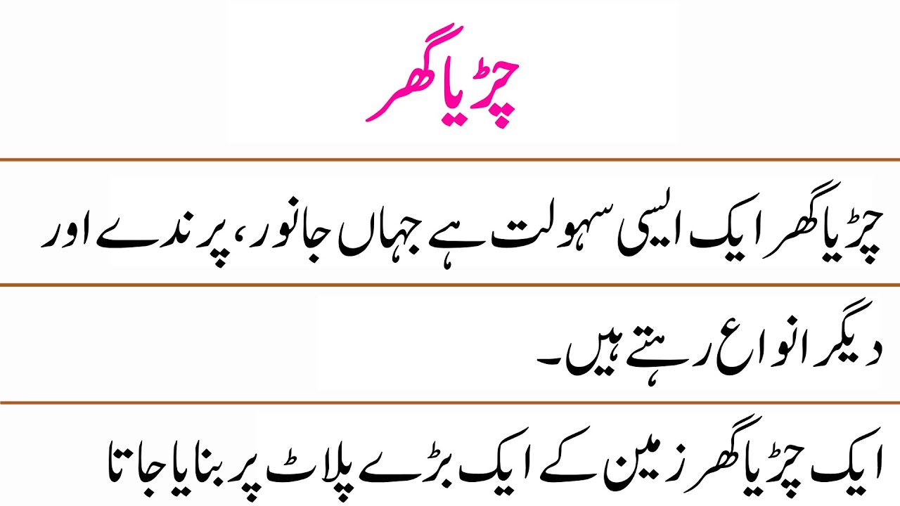 zoo visit essay in urdu