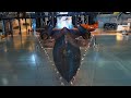 National Air &amp; Space Museum Udvar Hazy 2022