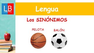 Los SINÓNIMOS para niños ✔👩‍🏫PRIMARIA
