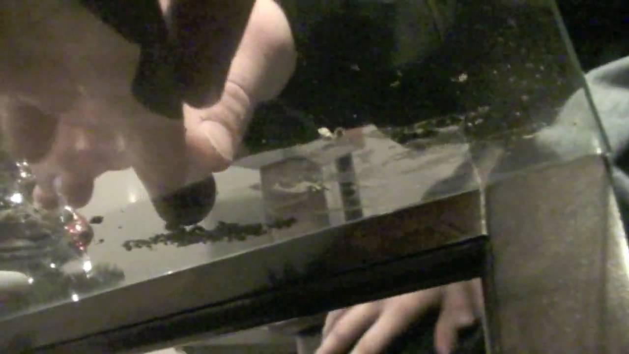 Drake Over remix - fremo skillz sacred scriptz