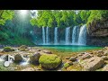 Music Heals the Soul and Soothes the Body 🌿 Calm Music, Nature Sounds for Stress Relief, Sleep Music