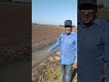 cómo se riegan los campos cultivos en Sinaloa.