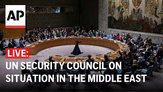 LIVE: UN Security Council discusses situation in Middle East