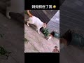 妈妈抓住了我