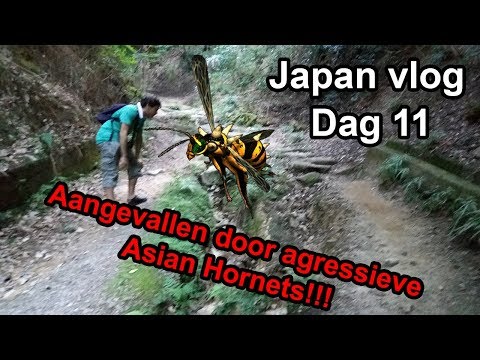 Video: Waar het Japan aangeval?