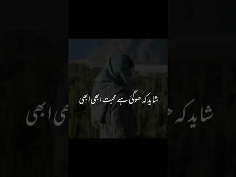 Sina New Song 2025 Ifthqar U