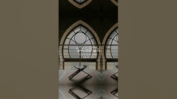 ماتيسر من سورة الأنفال للقارئ الشيخ أحمد العجمي ♥️🌿