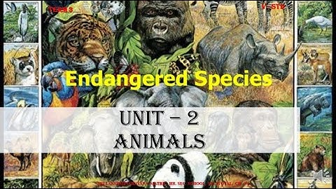 5TH STD SCIENCE | ANIMALS | UNIT - 2 (PART 1) | SLN MATRICULATION HR. SECONDARY SCHOOL