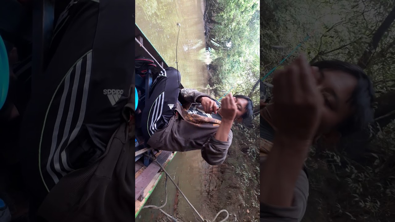 Mancing dapat ikan baung