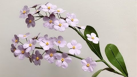 ABC TV | How To Make Forget Me Not Flower With Shape Punch - Craft Tutorial