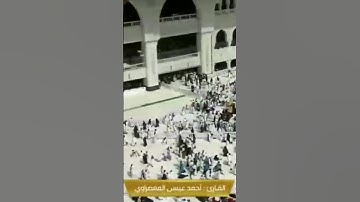 المعصراوي رواية رويس عن يعقوب سورة الفاتحة.
