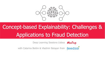 Concept-based Explainability: Challenges & Applications to Fraud Detection | Catarina & Vladimir