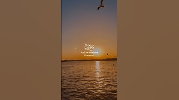 القارئ شريف مصطفى