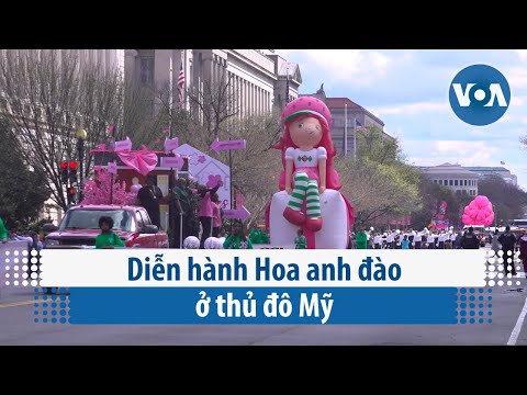 Video: Washington, D.C. Cây anh đào: Hướng dẫn đầy đủ