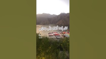 سورة يوسف الآية {86}