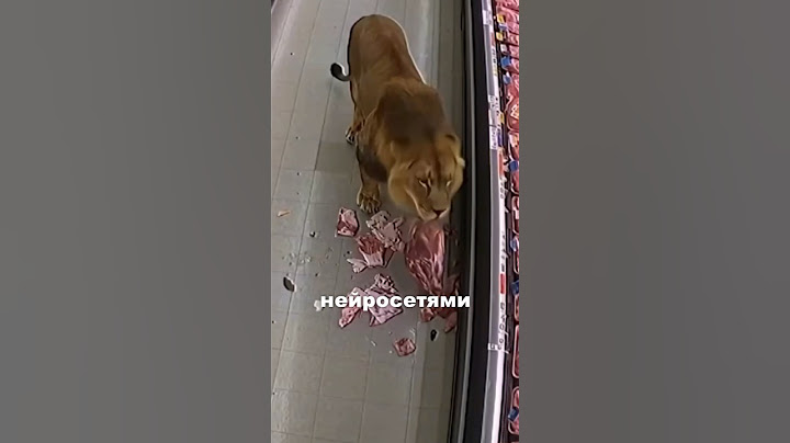 Лев ОГРАБИЛ мясную лавку. #новости #новостимира #news