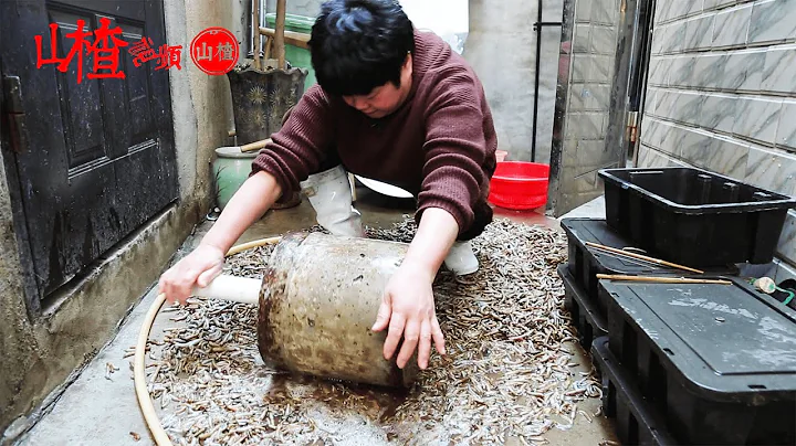 号称福建美食界黑暗料理的巅峰，80一斤的土笋冻，你敢吃吗？ - 天天要闻