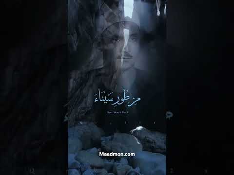 وشجره تخرج من طور سيناء تنبت بالدهن وصبغ للاكلين محمد صديق المنشاوي قران كريم بصوت رائع جدا