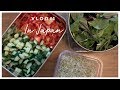 VLOG #4 grocery shopping | quinoa salad lunch prep | spicy noodle for dinner | in Japan