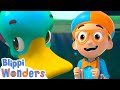 Quack Quack! Blippi and the Duck! 🦆🎈 | Blippi Wonders Educational Videos for Kids