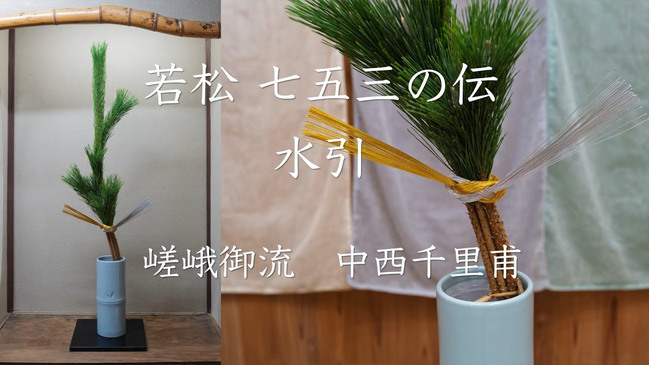 若松　七五三の伝　水引の付け方