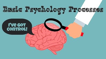 Basic Psychology Processes : Human Behaviour explained | PsychologyDoneRight