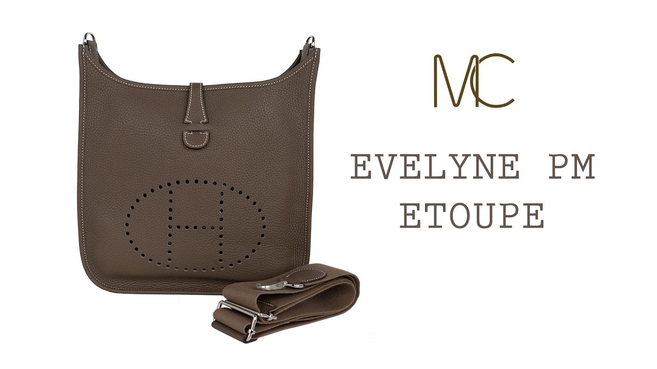 Hermes Evelyne TPM e Bag Gold Taurillon Maurice Palladium – Mightychic