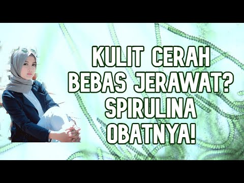 CARA MENGHILANGKAN JERAWAT ALAMI DENGAN SPIRULINA 