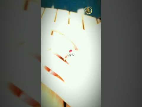 Nhẫn đính KIM CƯƠNG TỰ NHIÊN mix đá RUBY