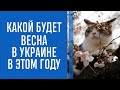 ДО 20 ГРАДУСОВ ТЕПЛА: синоптик рассказала, какой будет весна в Украине в этом году