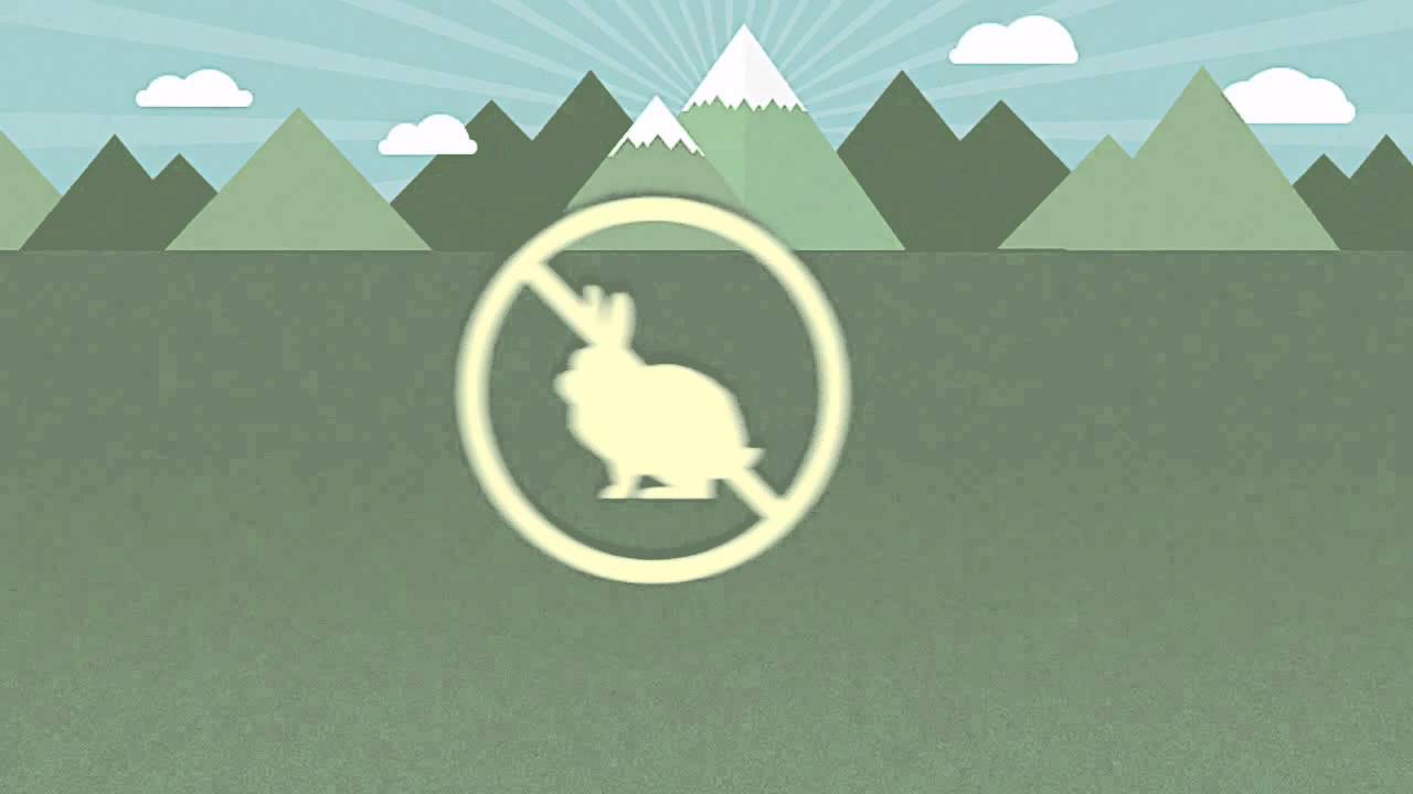 Negatives animal testing YouTube