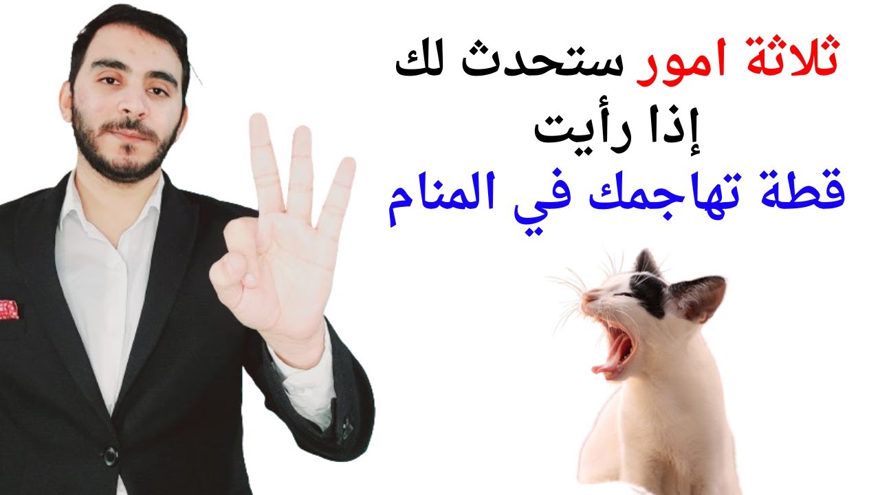 ثلاثة امور ستحدث لك عند رؤية قطة تهاجمك وتلاحقك في المنام l تفسير حلم رؤية الخوف من القطط في المنام