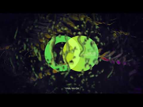 Tonton Amir Telem - Let Down Everyone (Original Mix) // Area Verde di YouTube